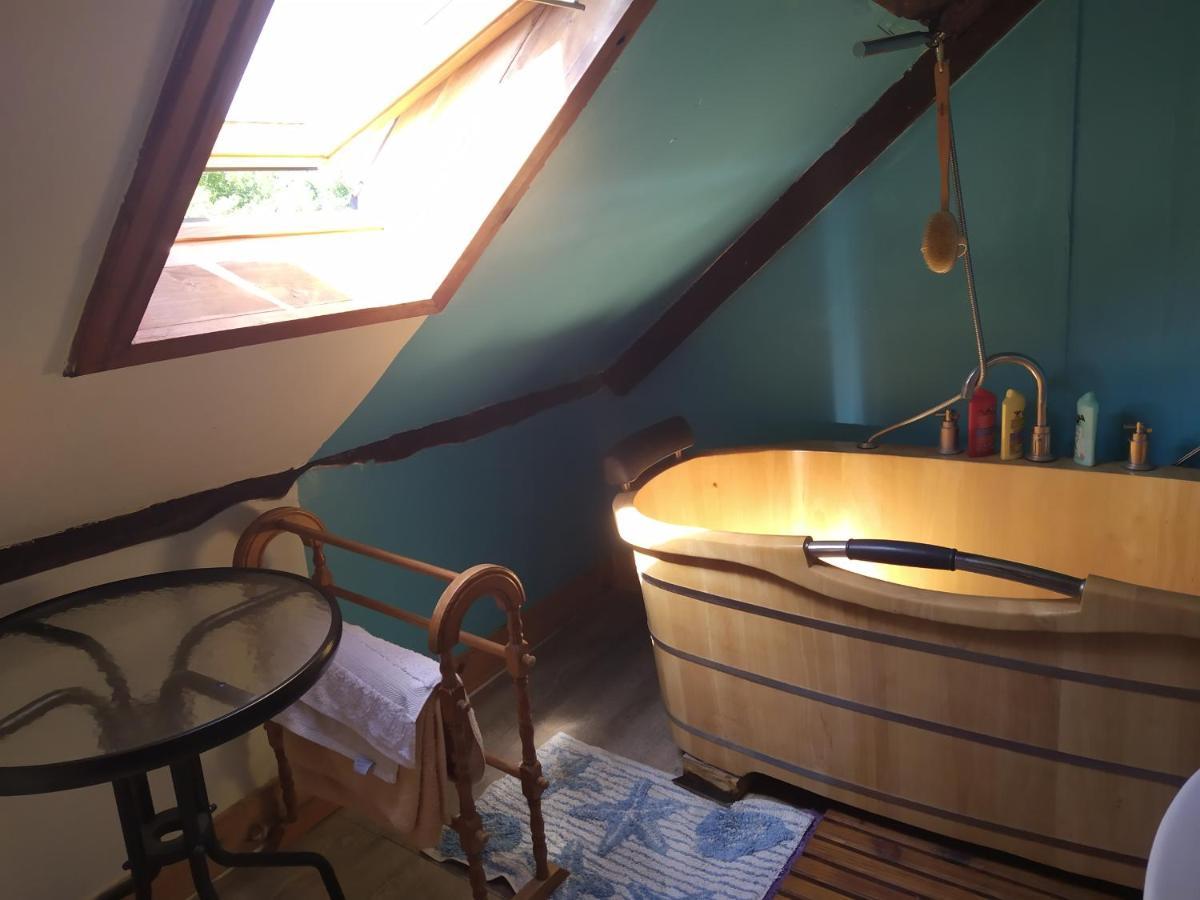 Maison En Granit Bleue Lanhelin Luaran gambar